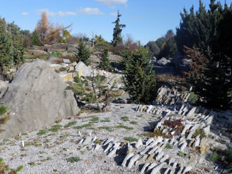Lovely displays of alpine gardens from different parts of the world. 