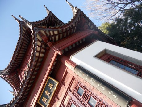 Lovely detail. I look forward to coming here again to learn about the creation of all these gardens.