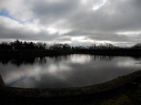 If you can ignore the chain-link fence and barbed wire, you can find magical beauty here.