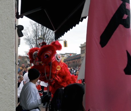 The lion takes the offering at The Milkman's Daughter on Government Street.