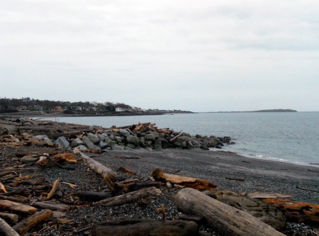 Many shades of grey, Ross Bay.