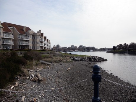 We walked home along the Westsong Walkway, enjoying the beautiful view of the Inner Harbour.