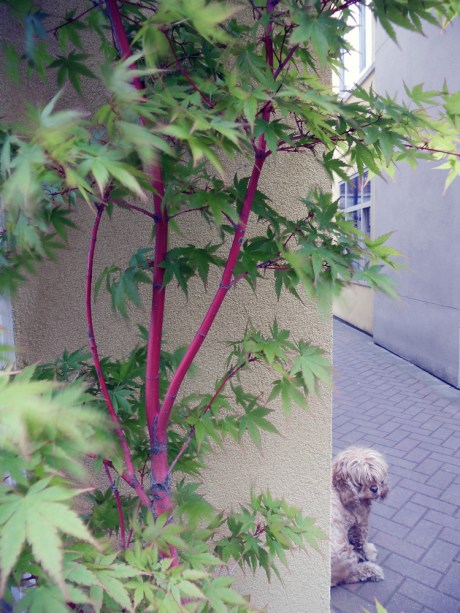 Waiting for friends on a blustery day.