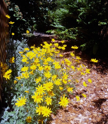 A little secret path to nowhere.