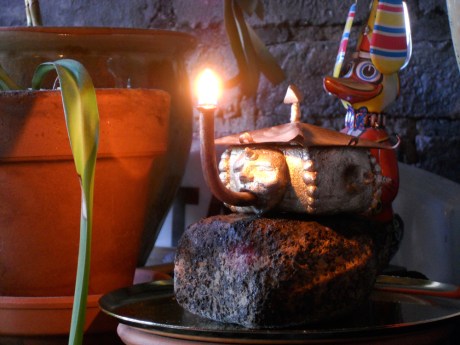 Bud Light with metal wind-up duck and sad spider plant. © GJ Pearson