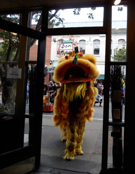 dkn_NeighbourhoodFestivals3