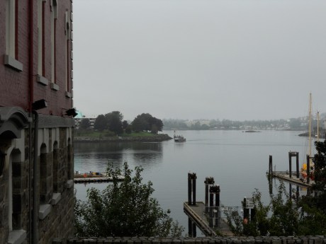 Our beautiful harbour on a foggy morning.