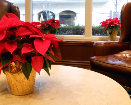 Holiday cheer and colour in the lobby at Hotel Lusso.