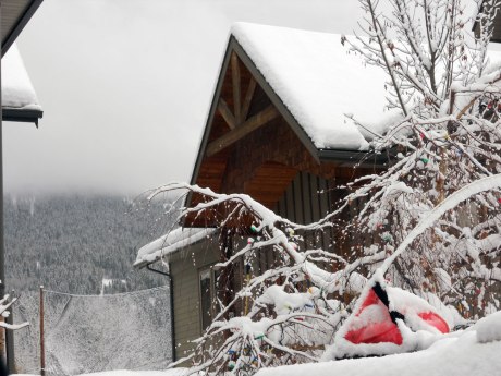 Awoke to new snow falling and a fresh unspoiled blanket of white.