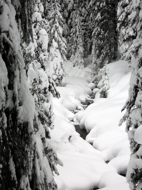 A little stream trickled away under the snow. There were spots where animals had jumped across it and scampered away through the woods.