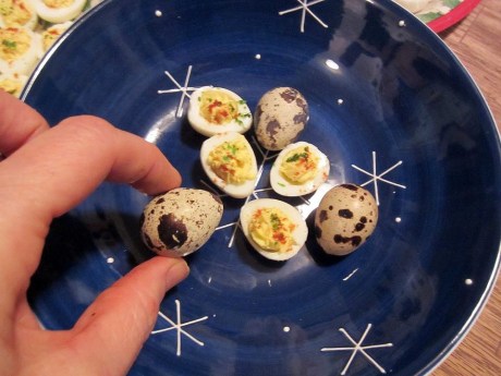 These little deviled quail's eggs were made and photographed by the friends who raise the birds. They must require patience, a steady hand and a good piping bag!
