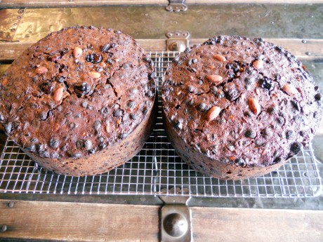 They look like they will be good this year! We'll find out around the 15th.