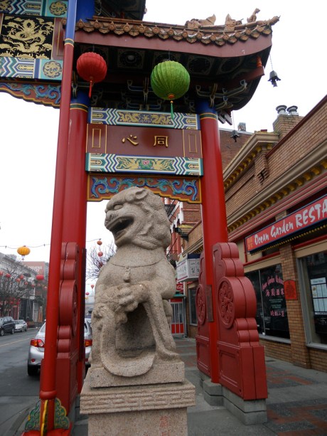 The second of two stone lions which stand on either side of the gate. These were donated by the city of Suzhou, Victoria's sister city in China.