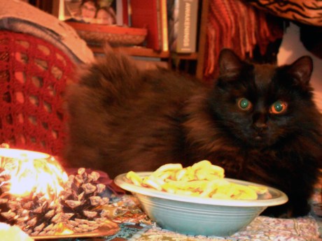 Ms Zelda, party girl.