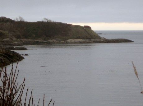A heavy sky on a dark, west coast January day.