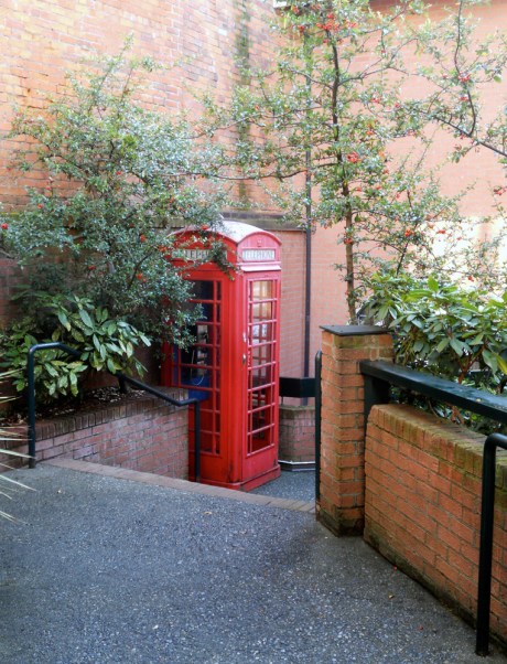 The lovely walkway through Nootka Court, connecting Courtney Street with Humboldt Street.