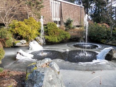 Lovely fountain in Beacon Hill Park, Victoria BC.