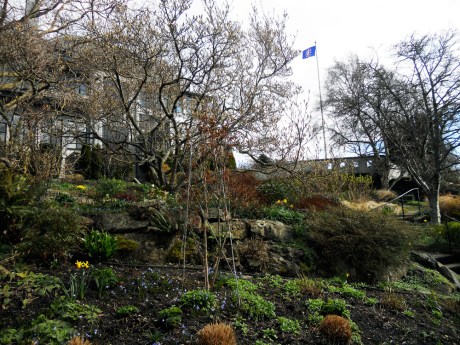 There is a gorgeous rock garden behind the house. 