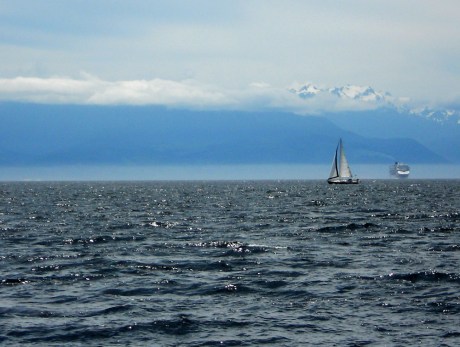 The Olympic Peninsula viewed from Victoria BC.