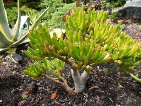 dkn_Summertime_BeaconHillPark7