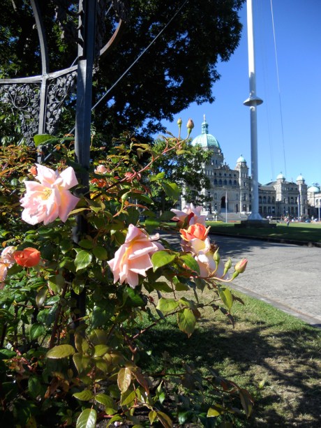 The Parliament Buildings from the corner of Government and Belleville streets, with very fragrant rose.