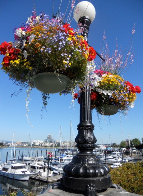 Our famous flower baskets.