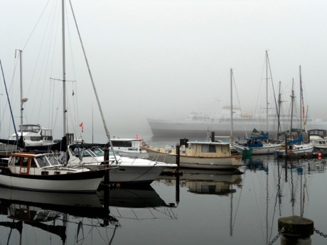 The Coho leaves the harbour through the fog.
