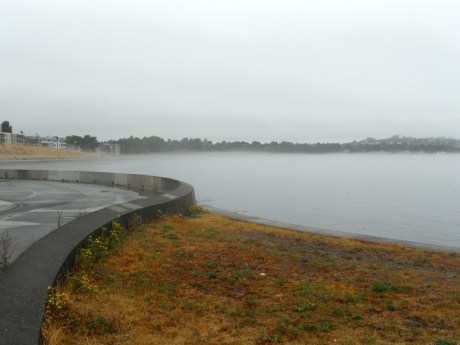 Just a strip of fog hovering low over Ross Bay.