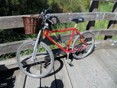 My beautiful Ritchey.  