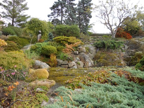 This lovely mossy rock dominates the upper garden around the house with the rest of the garden seemingly cascading from it creating a pool of green all around.