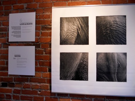 dkn_Art_ElephantEarth2