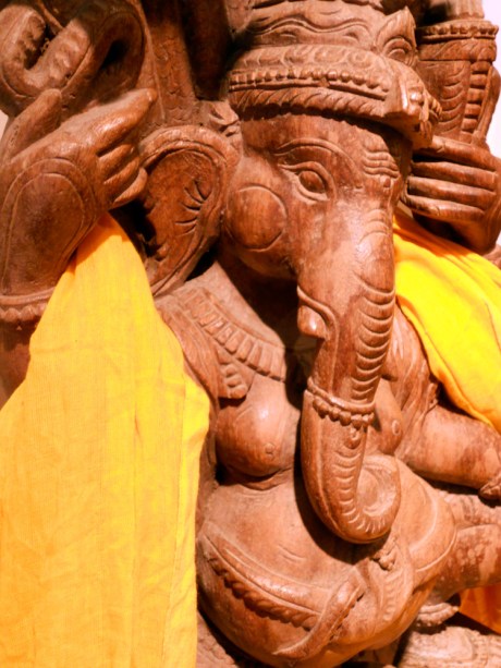 dkn_Art_ElephantEarth5