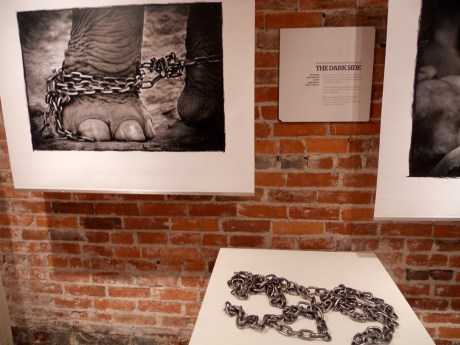 dkn_Art_ElephantEarth6