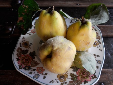 Fuzzy and flavourful: my new favourite fruit!