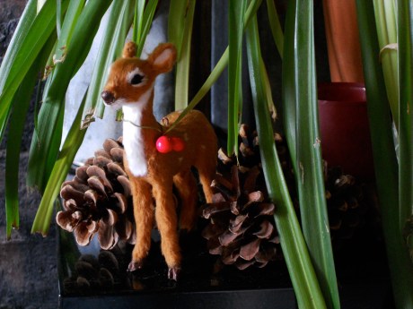 Little deer pokes out from the part of the spider plant the cats chewed away.