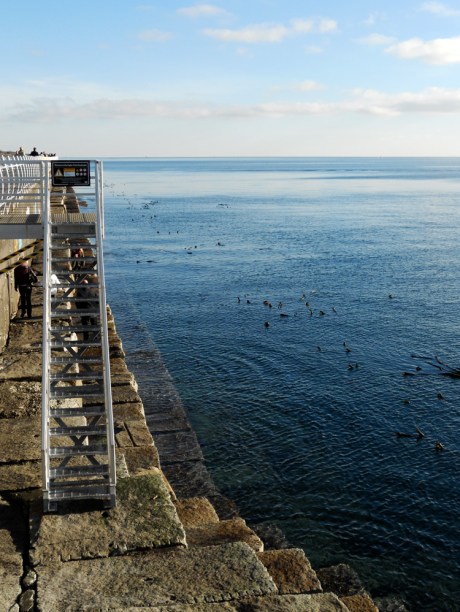 Looking back from the end you see the alternate walkway along the outside of the breakwater. There were a lot of divers enjoying this excellent shore dive location. This is also a popular spot for fishing.