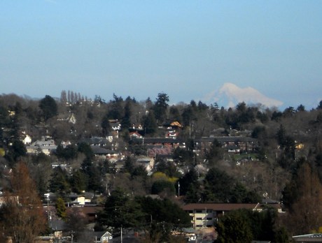 A misty view of Mt Baker in Washington State, taken from Summit Park.