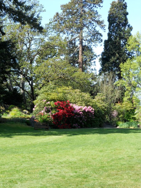 dkn_SpringColourGovernmentHouse1