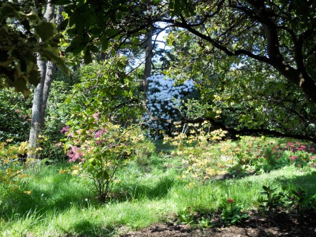 dkn_SpringColourGovernmentHouse2