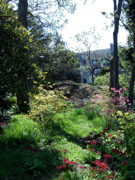 dkn_SpringColourGovernmentHouse3