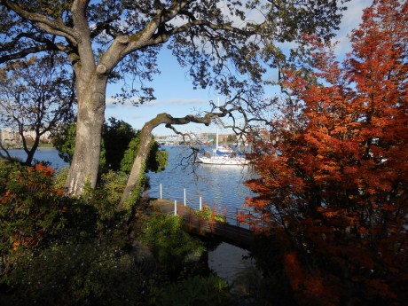 007_DKN_AutumnHarbourView