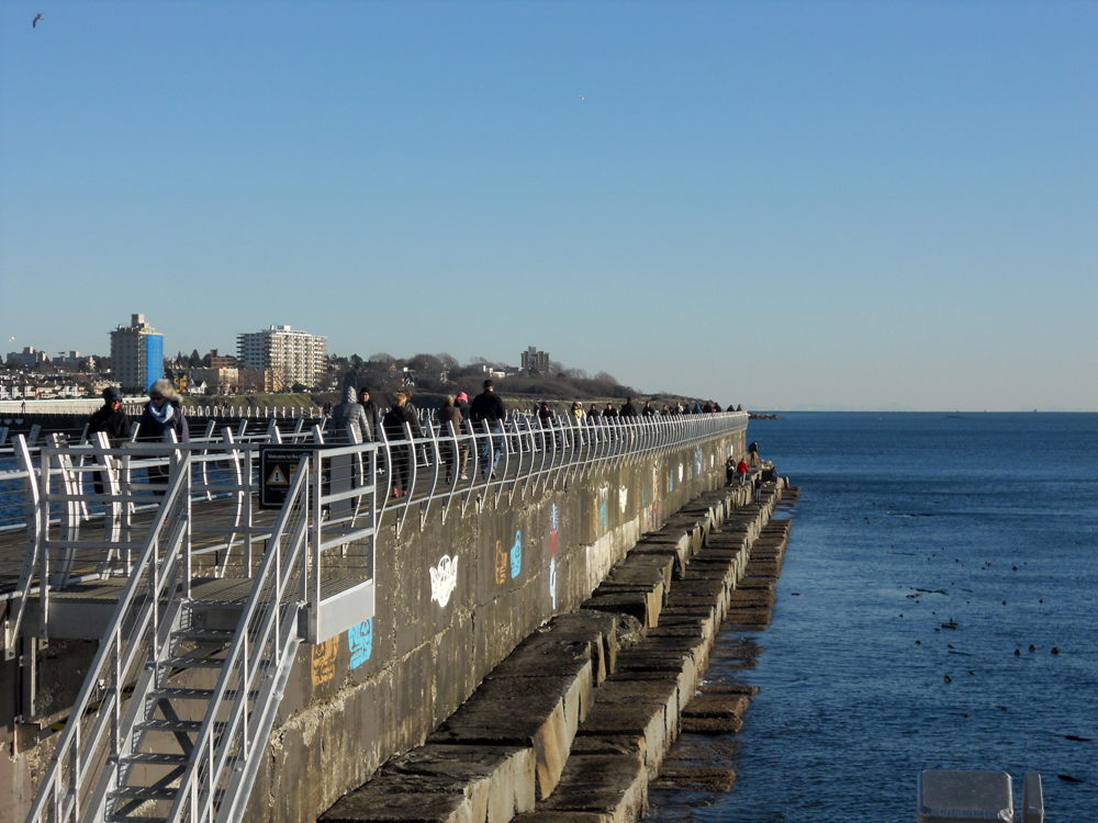 02_DKN_NewYearsDayWalk_1