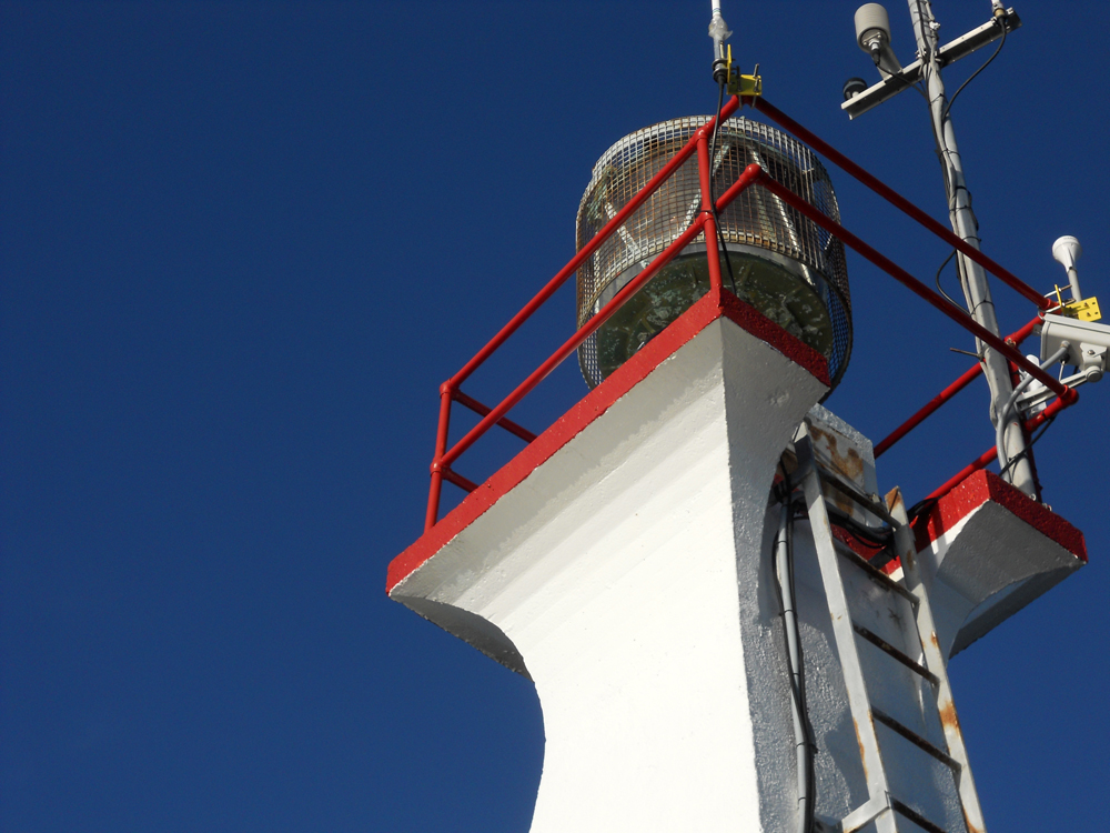 02_DKN_NewYearsDayWalk_2