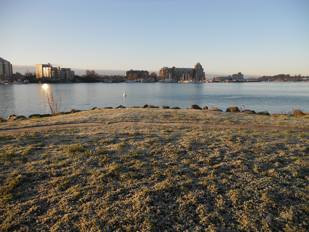 03_DKN_FrostyJanuaryMorning_3