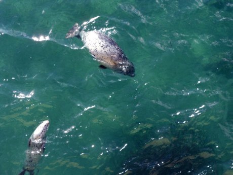 1_dkn_summerinautumn1