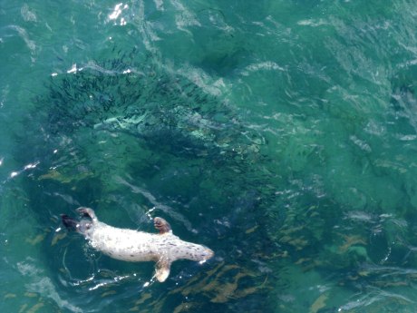 1_dkn_summerinautumn2