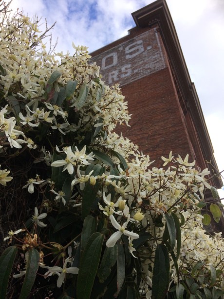 01_SpringColour_Cream