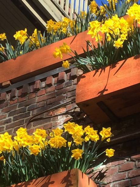 01_SpringColour_Yellow