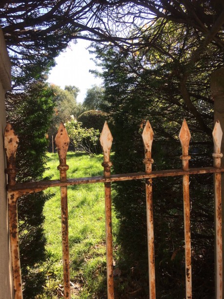 Hammersmith_PrivateGarden