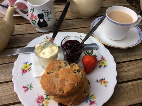 NewForest3_CreamTea